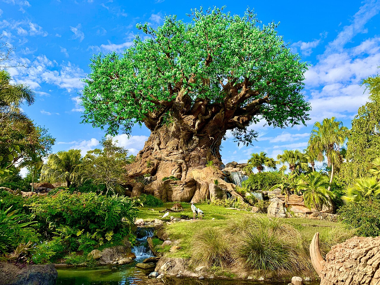 The Tree of Life surrounded by lush planting at Disney's Animal Kingdom